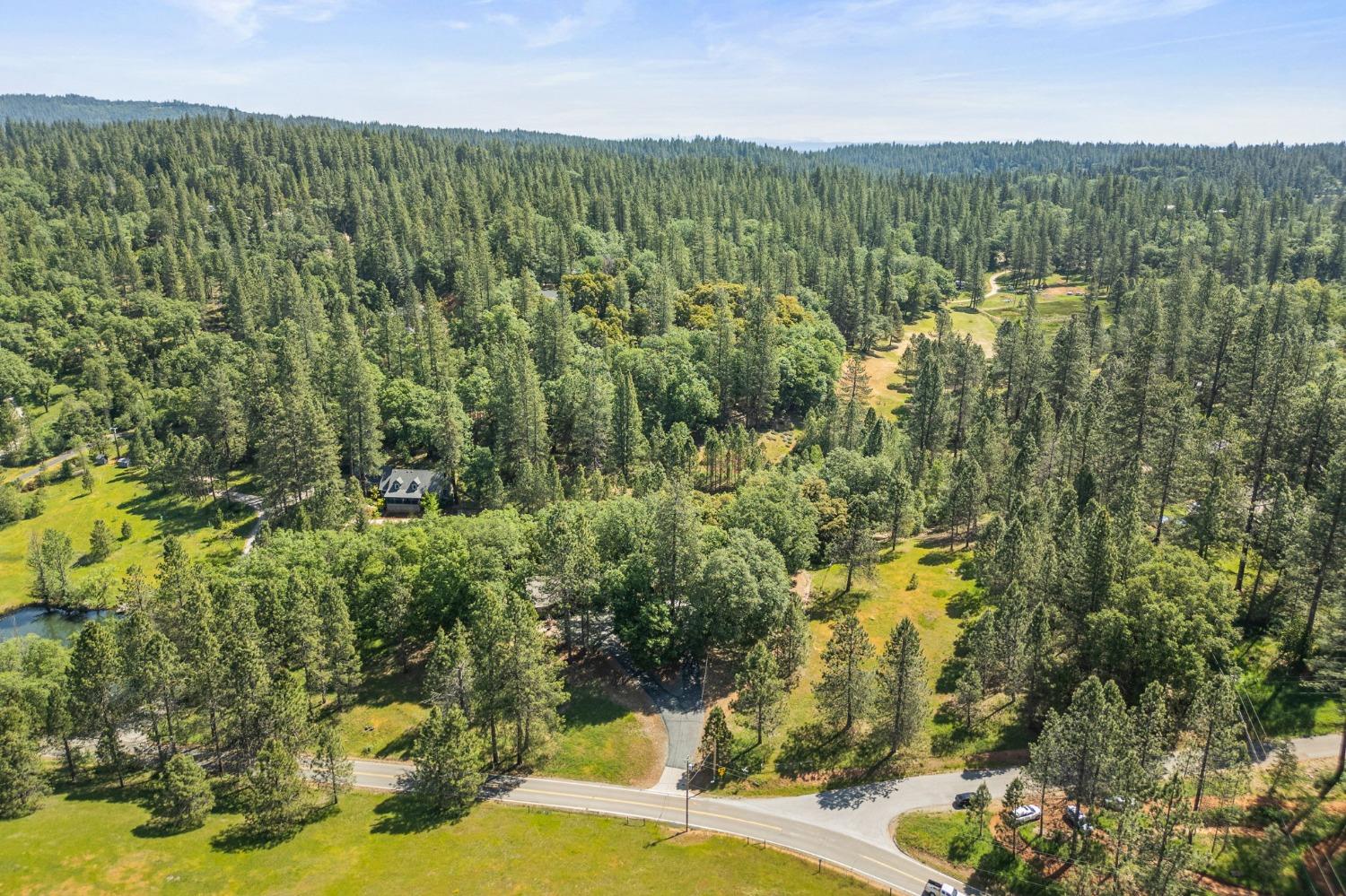 Auburn Road, Grass Valley, California image 49