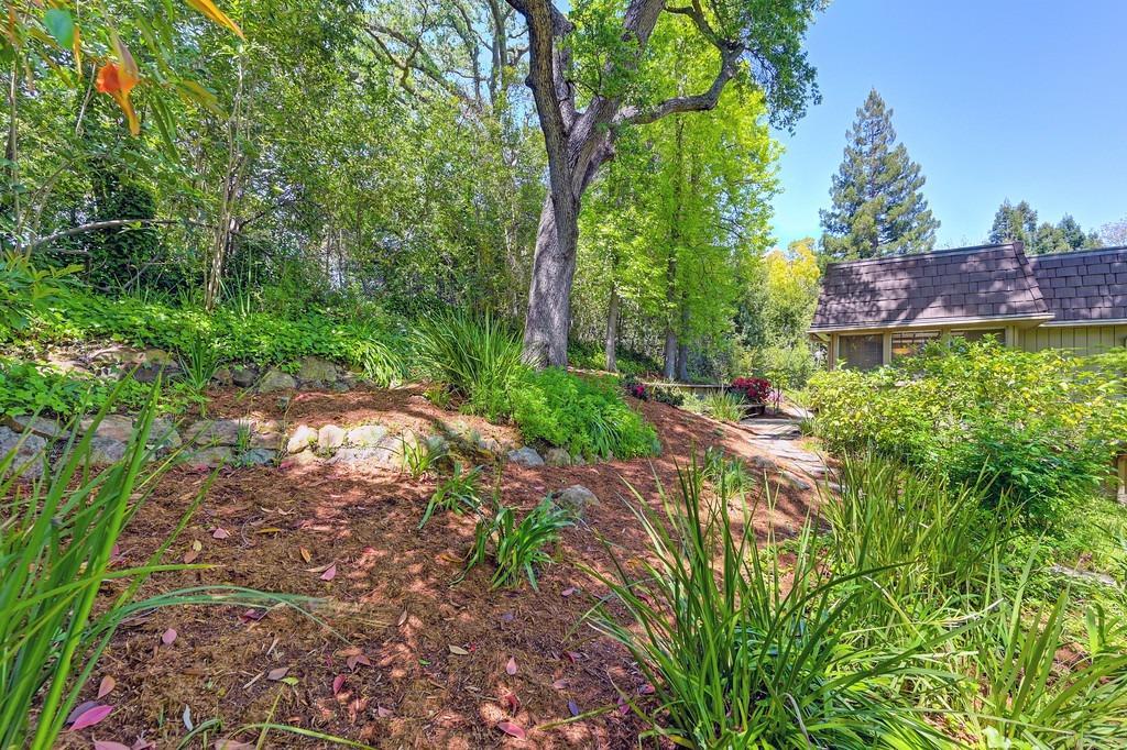 Lowland Court, Carmichael, California image 50