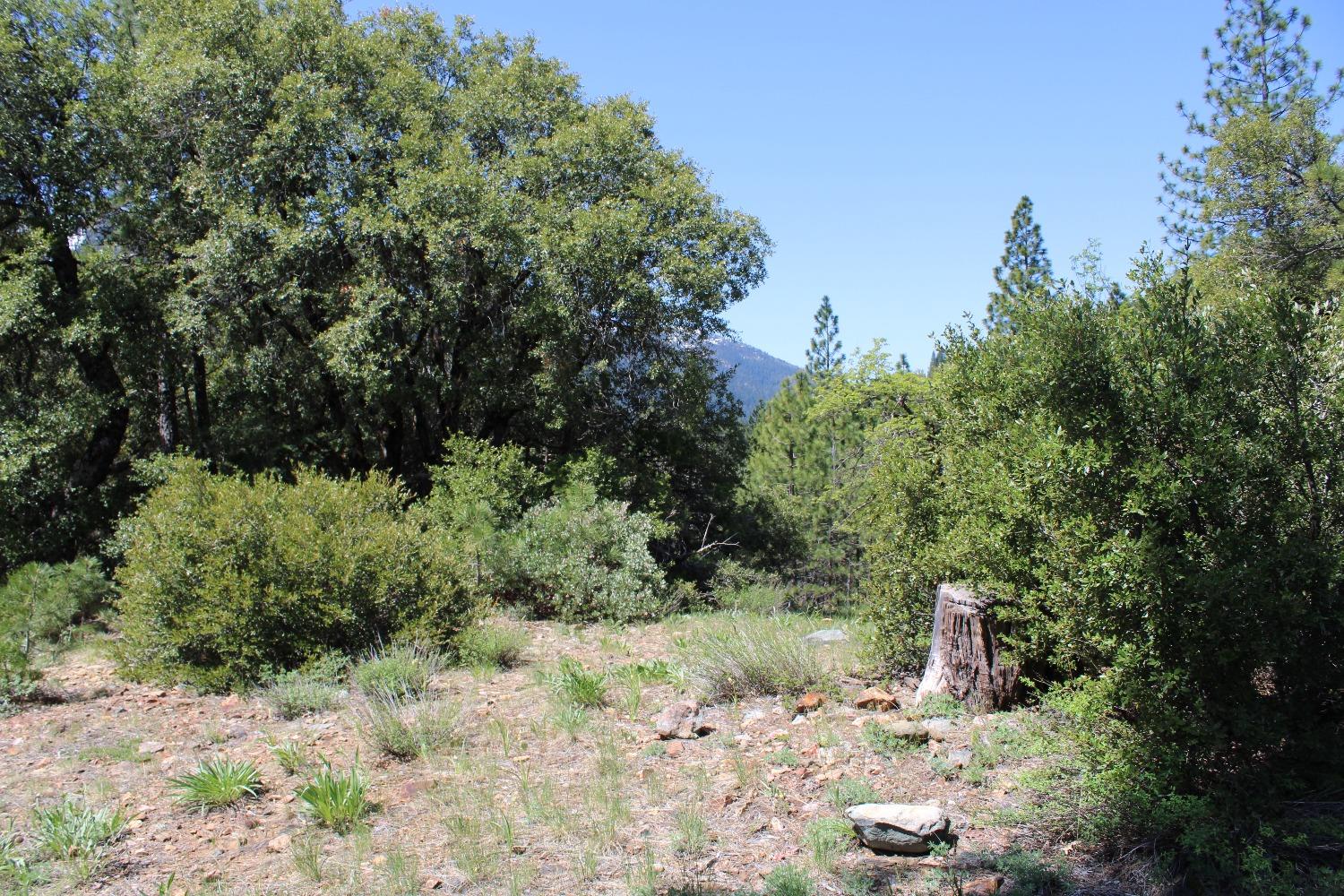 Detail Gallery Image 4 of 15 For 558 Brady Dr., Sierra City,  CA 96125 - – Beds | – Baths