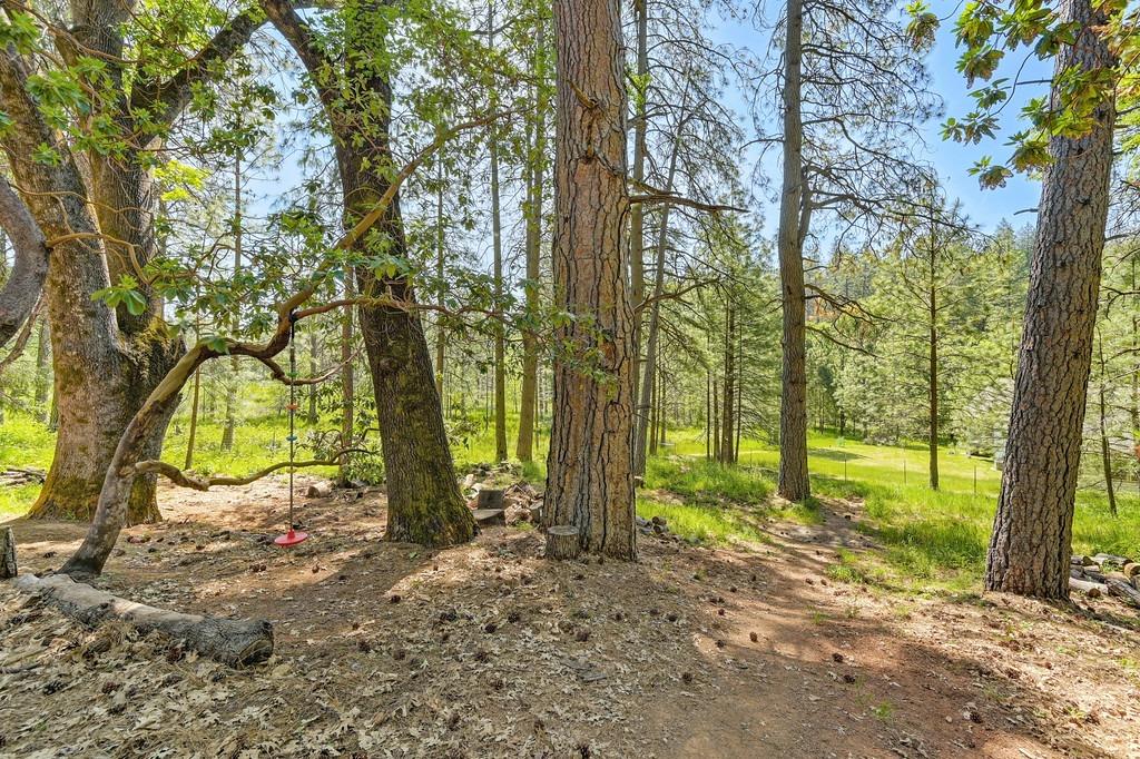 Detail Gallery Image 61 of 80 For 6127 Silverleaf Dr, Foresthill,  CA 95631 - 3 Beds | 2 Baths