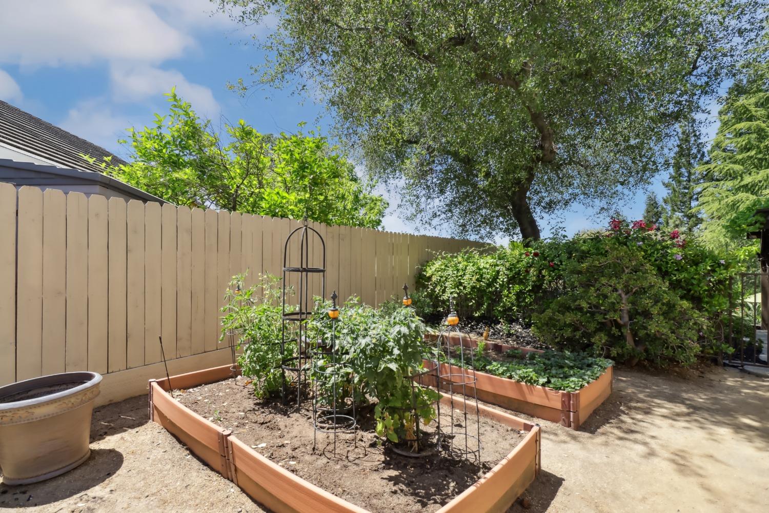 Detail Gallery Image 77 of 99 For 204 Davies Ct, Folsom,  CA 95630 - 4 Beds | 2/1 Baths