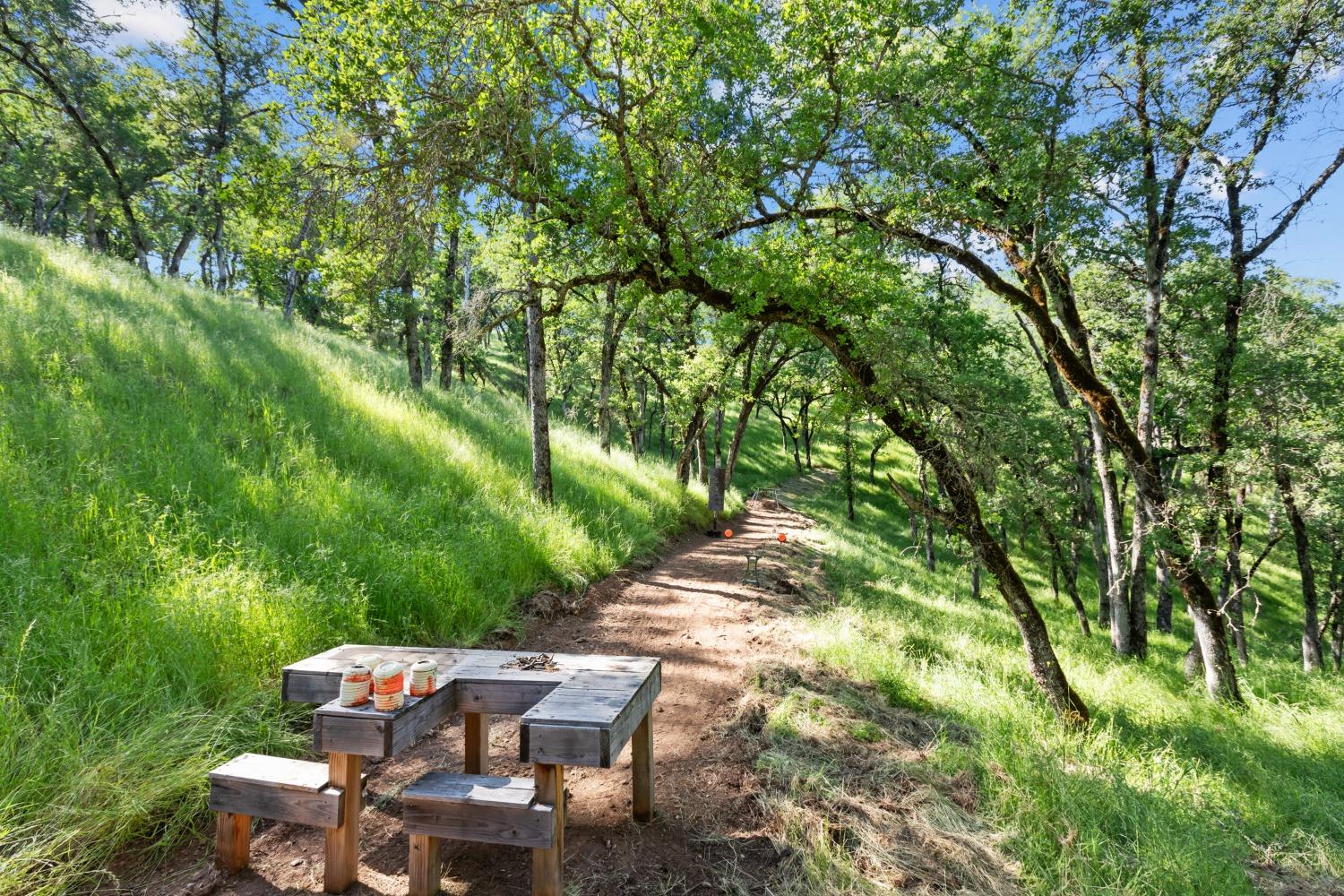 Detail Gallery Image 36 of 60 For 14883 Vaira Ranch Road, Drytown,  CA 95699 - 1 Beds | 1 Baths