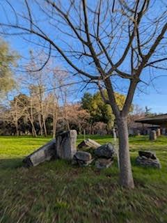 Penny Lane, Lincoln, California image 15