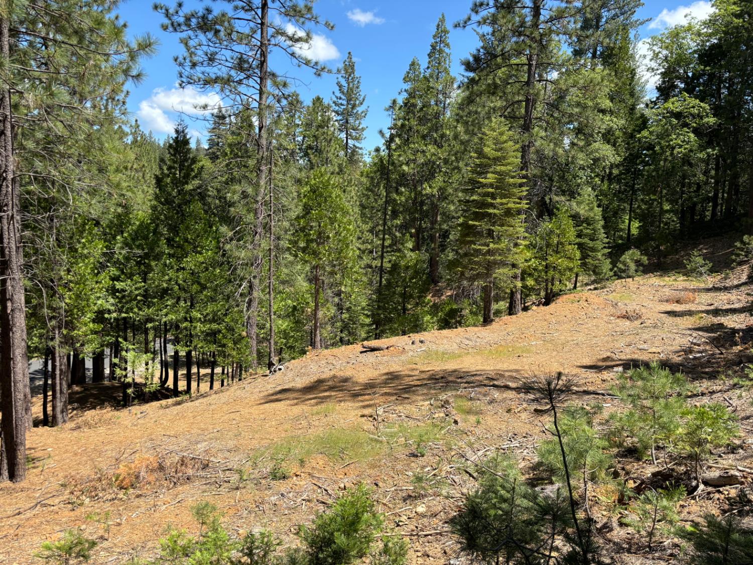 W Mokelumne Road, Arnold, California image 2