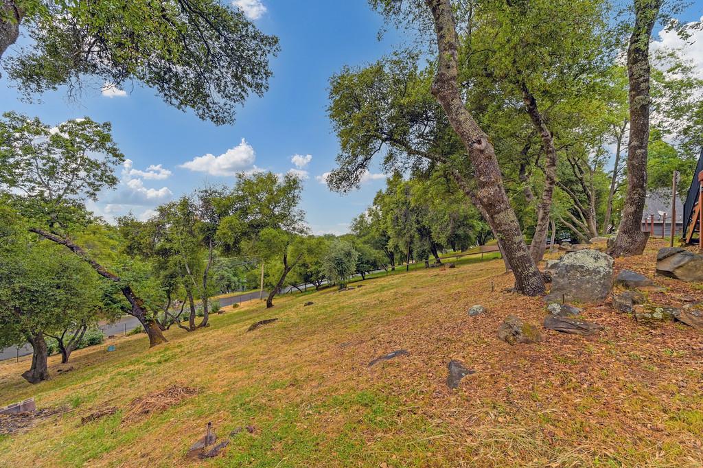 Detail Gallery Image 78 of 90 For 4531 Holly Dr, Shingle Springs,  CA 95682 - 4 Beds | 3 Baths
