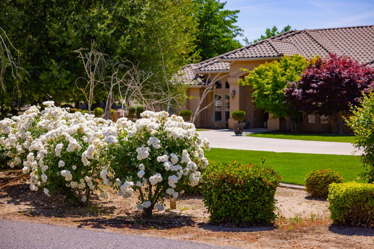 Detail Gallery Image 1 of 60 For 8706 N Oaks Dr, Oakdale,  CA 95361 - 4 Beds | 4/1 Baths