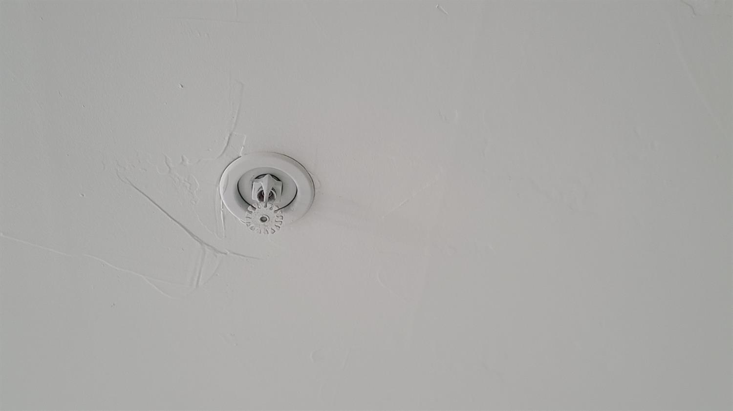 Detail Gallery Image 35 of 37 For 330 13th St 1a,  Oakland,  CA 94612 - 1 Beds | 1/1 Baths
