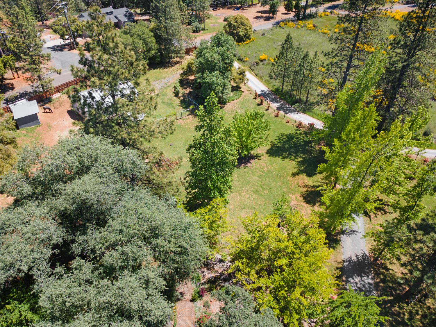 Detail Gallery Image 56 of 57 For 1750 Sliger Mine Rd, Greenwood,  CA 95635 - 3 Beds | 2 Baths
