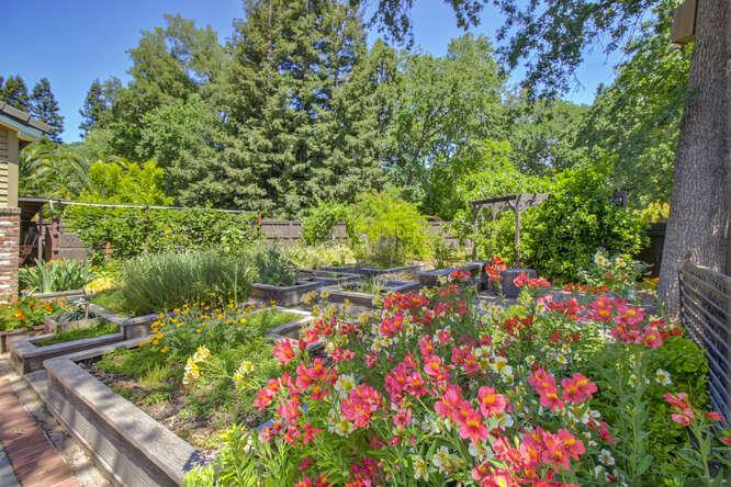 Detail Gallery Image 70 of 82 For 3399 Barberry, Sacramento,  CA 95864 - 5 Beds | 3/2 Baths