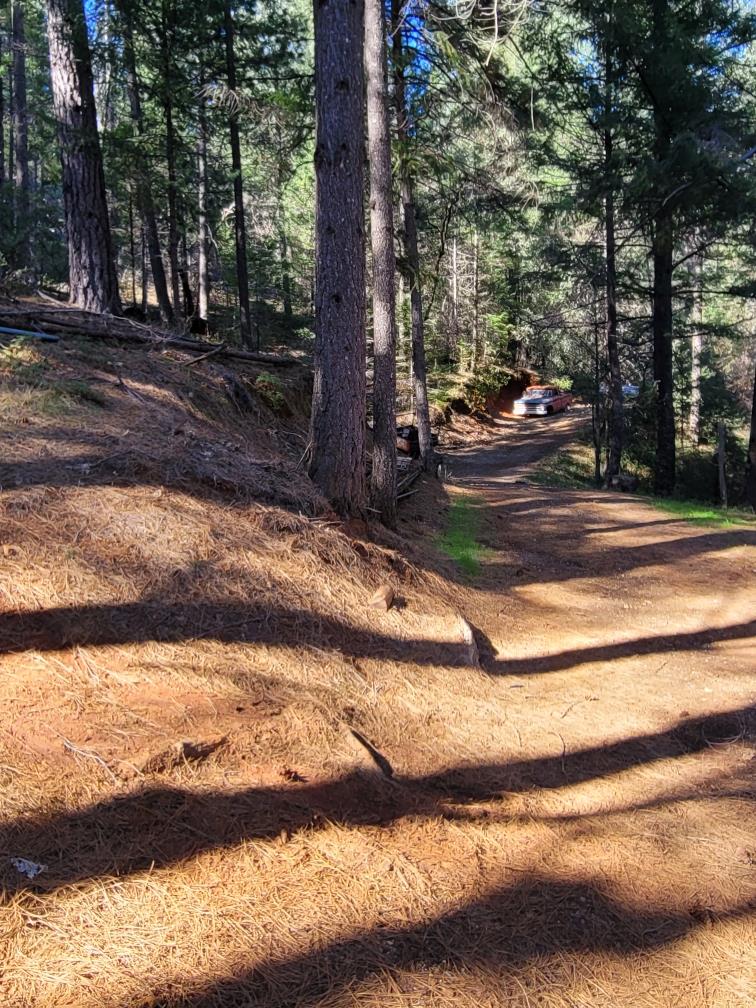 Grizzly Creek Road, Nevada City, California image 4
