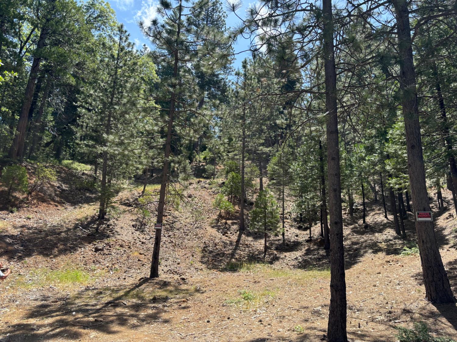 W Mokelumne Road, Arnold, California image 3