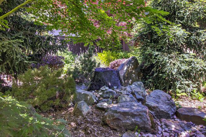 Detail Gallery Image 66 of 82 For 3399 Barberry, Sacramento,  CA 95864 - 5 Beds | 3/2 Baths