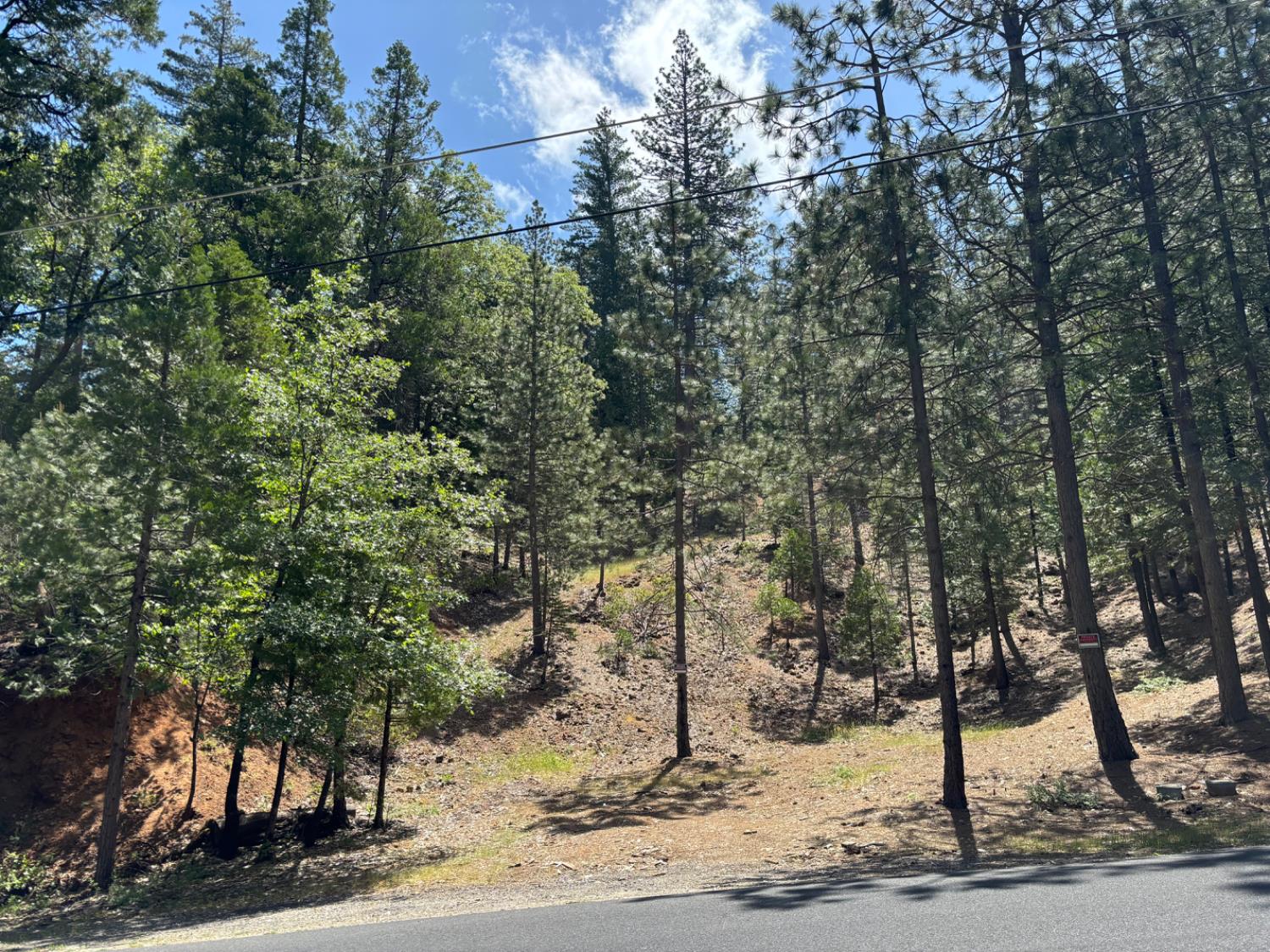 W Mokelumne Road, Arnold, California image 1