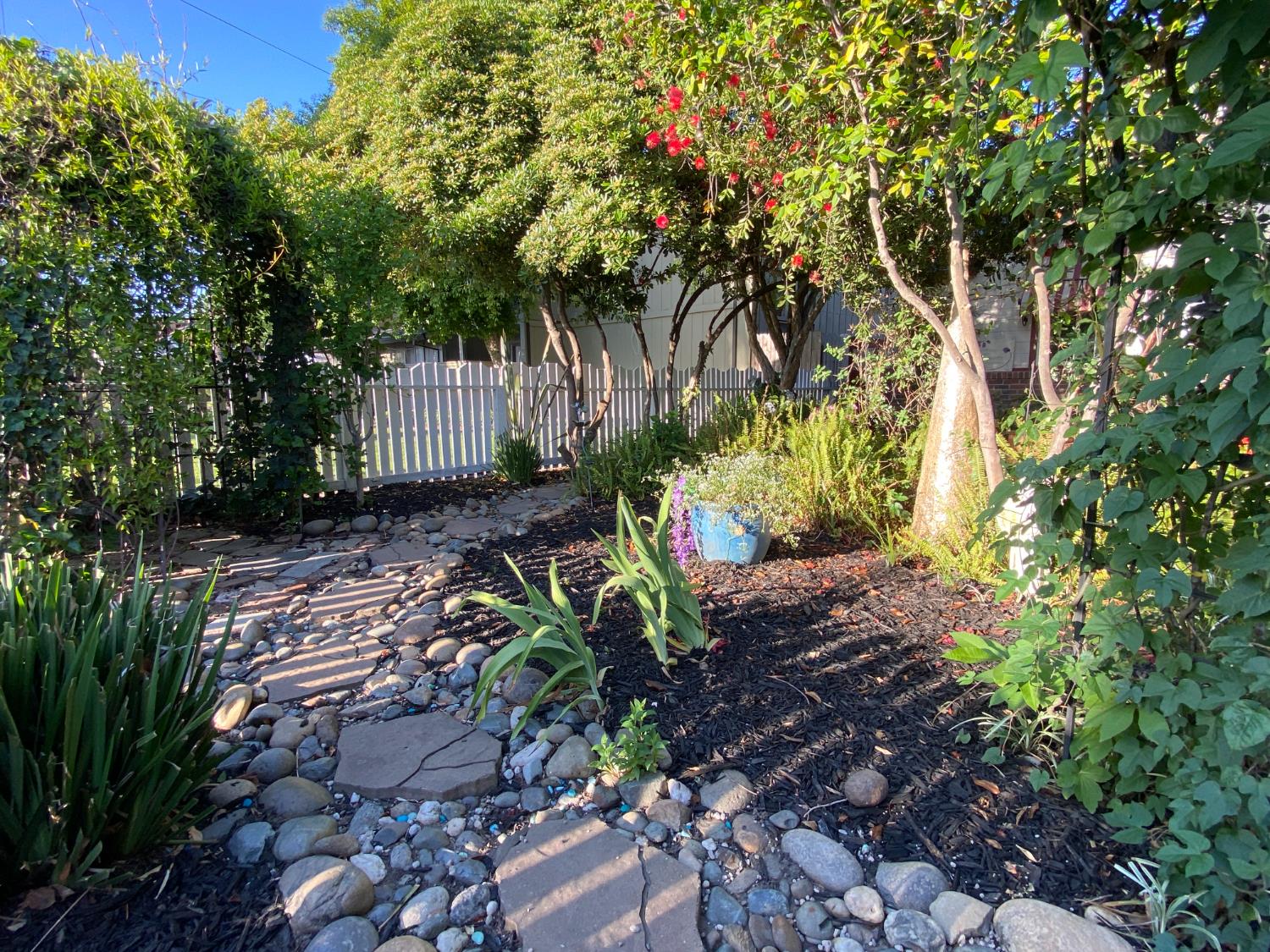 N Pleasant Avenue, Lodi, California image 38