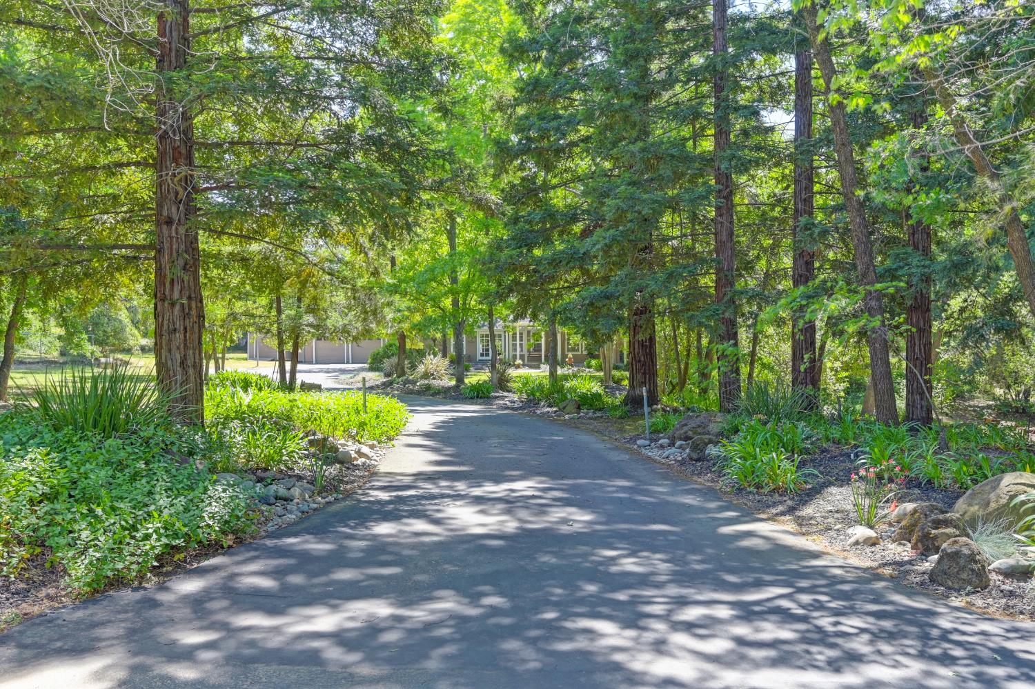 Detail Gallery Image 1 of 92 For 3710 Sutter Hill Ln, Carmichael,  CA 95608 - 4 Beds | 3/1 Baths