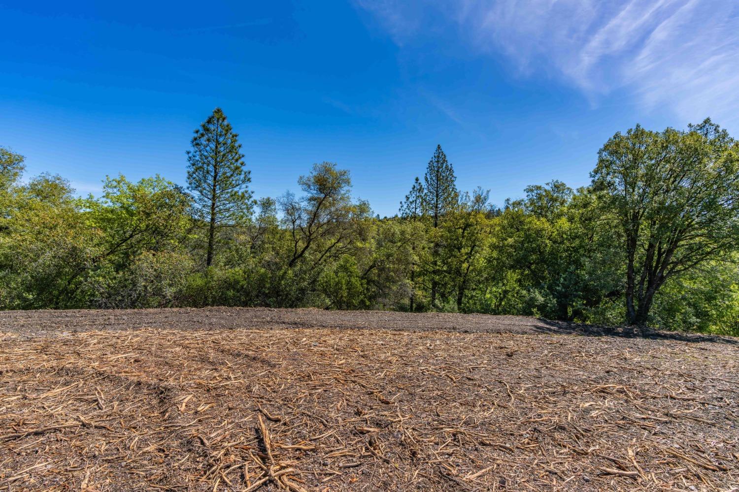 Detail Gallery Image 7 of 25 For 0 Oneto Rd, Sutter Creek,  CA 95685 - – Beds | – Baths