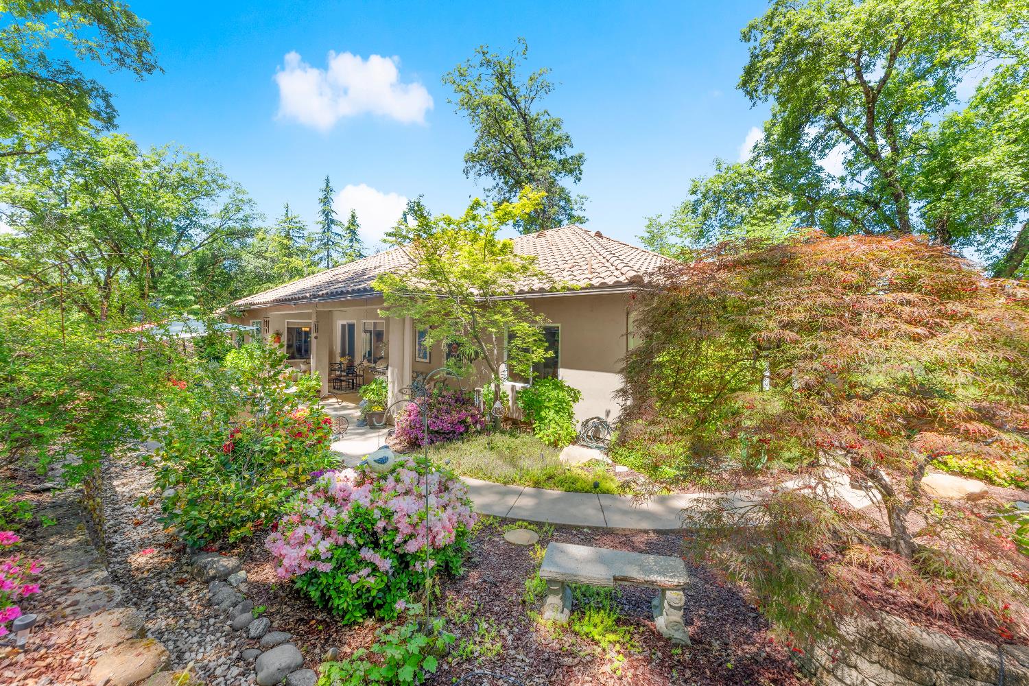 Bella Vista Circle, Foresthill, California image 45