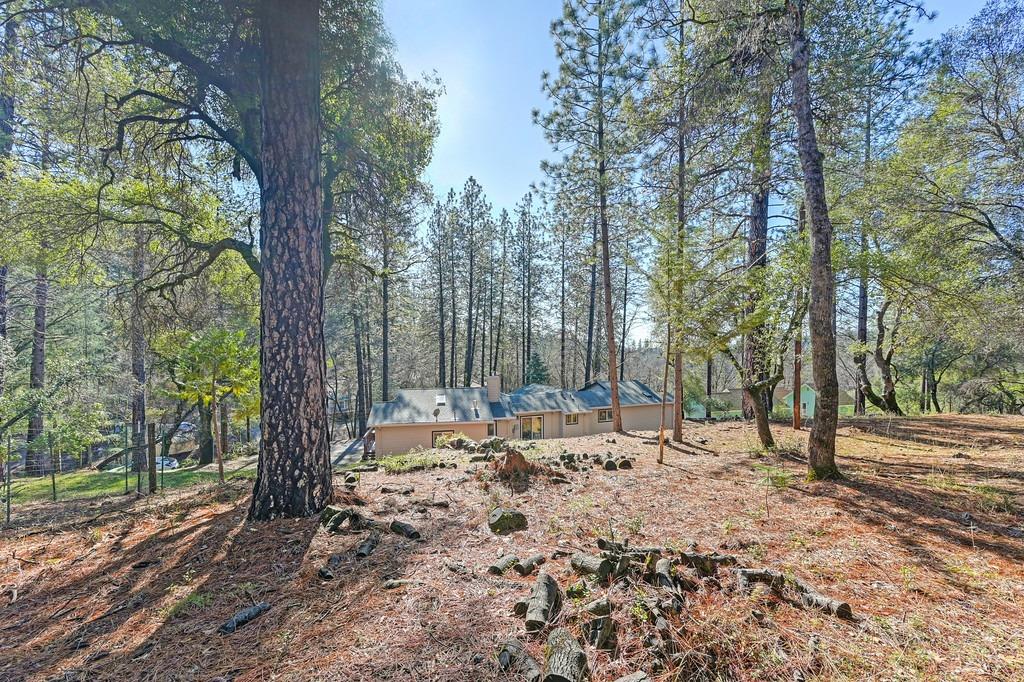 Mountain Lion Lane, Grass Valley, California image 29