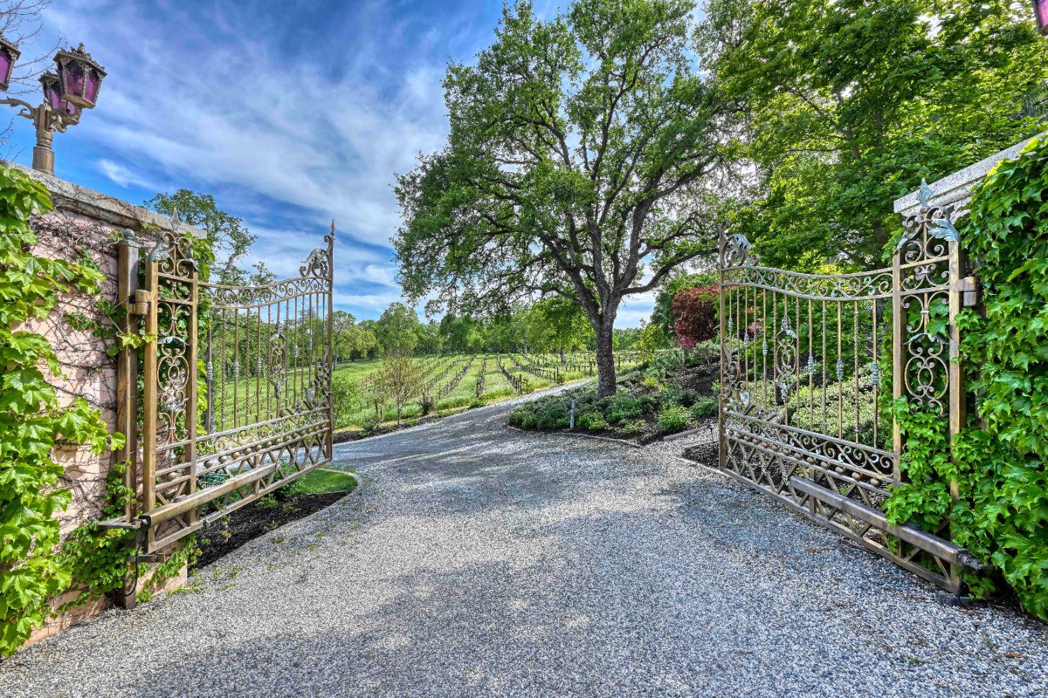 Detail Gallery Image 5 of 88 For 2020 Kaila Way, El Dorado Hills,  CA 95762 - 5 Beds | 6/1 Baths