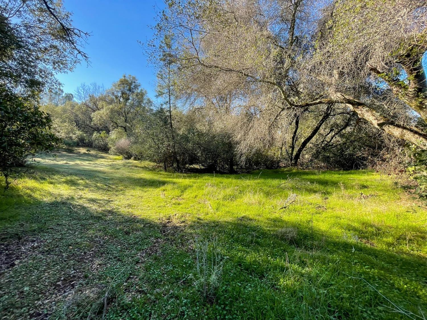 Detail Gallery Image 8 of 23 For 3040 Wolverine Ct, El Dorado,  CA 95623 - – Beds | – Baths