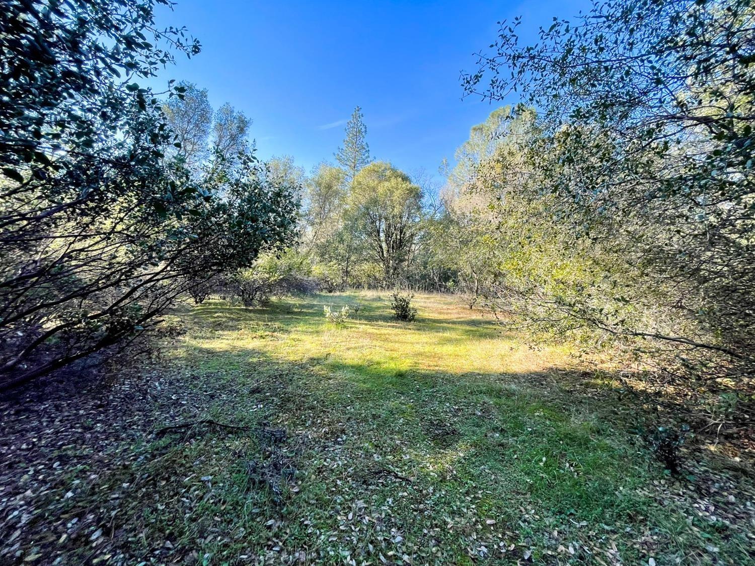 Detail Gallery Image 12 of 23 For 3040 Wolverine Ct, El Dorado,  CA 95623 - – Beds | – Baths