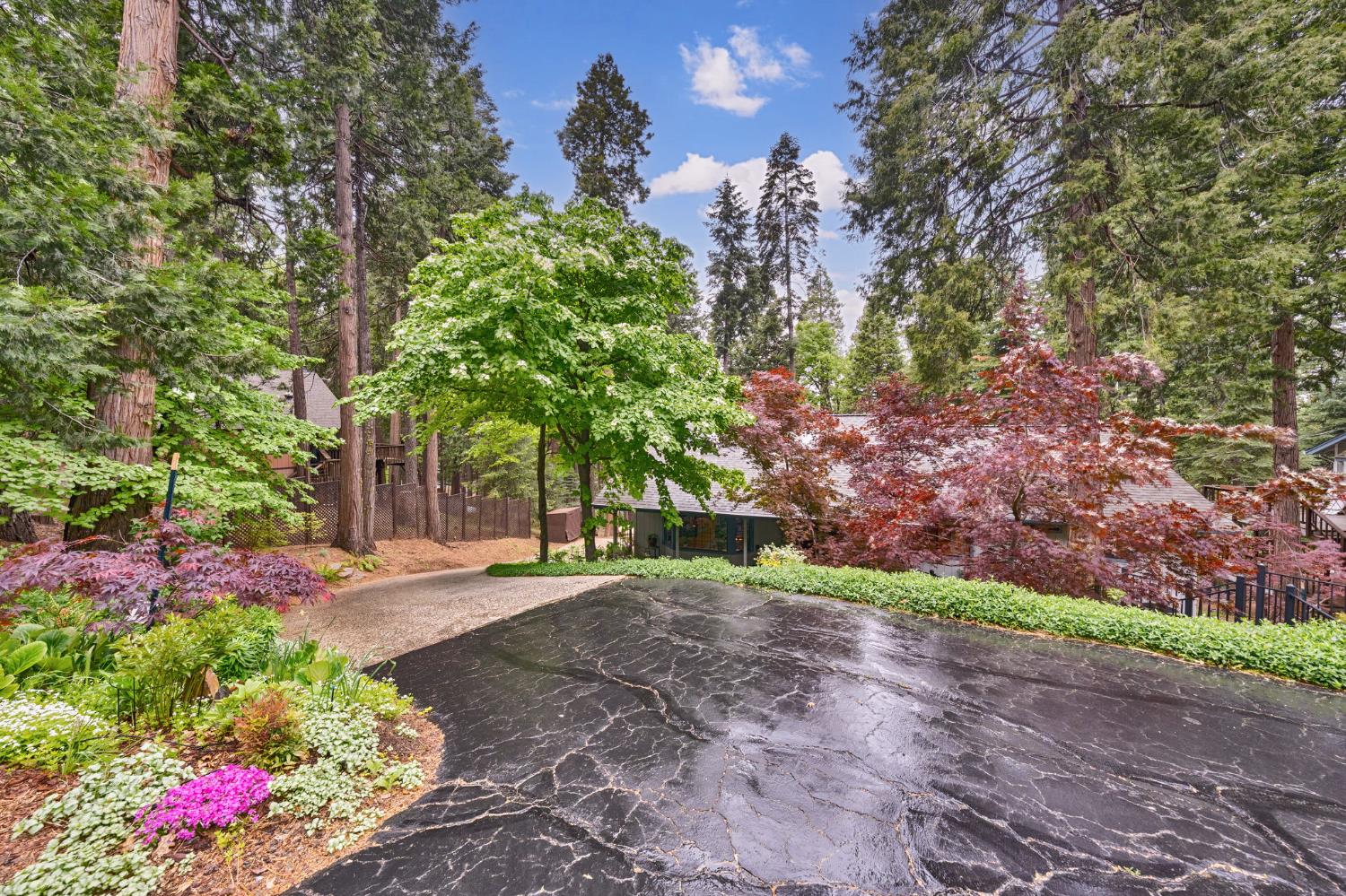 Detail Gallery Image 44 of 49 For 4038 Opal Trl, Pollock Pines,  CA 95726 - 3 Beds | 2 Baths