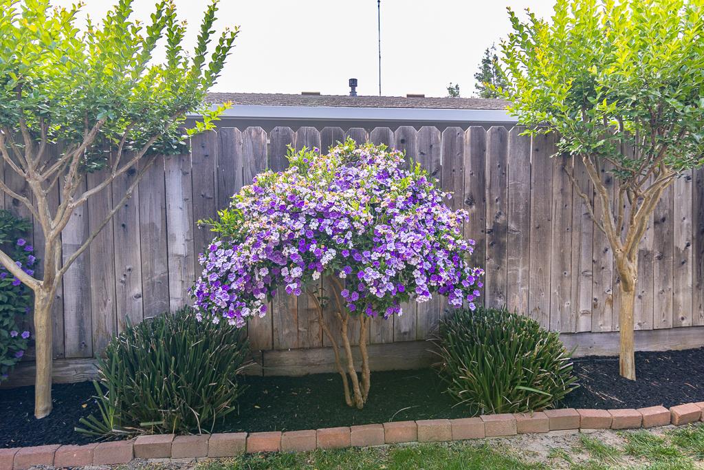 Detail Gallery Image 34 of 46 For 421 Becky Way, Waterford,  CA 95386 - 3 Beds | 2 Baths