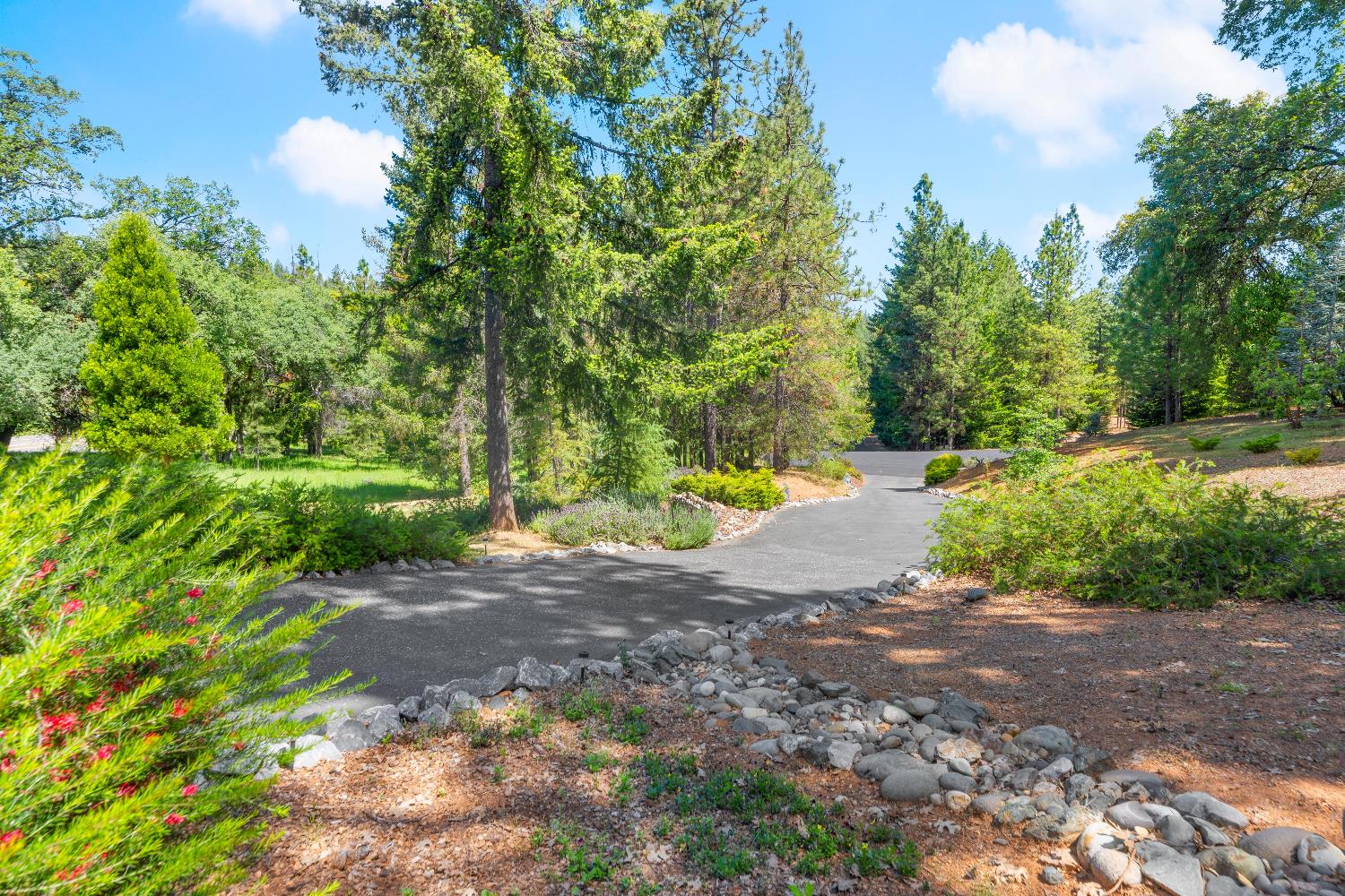 Bella Vista Circle, Foresthill, California image 2