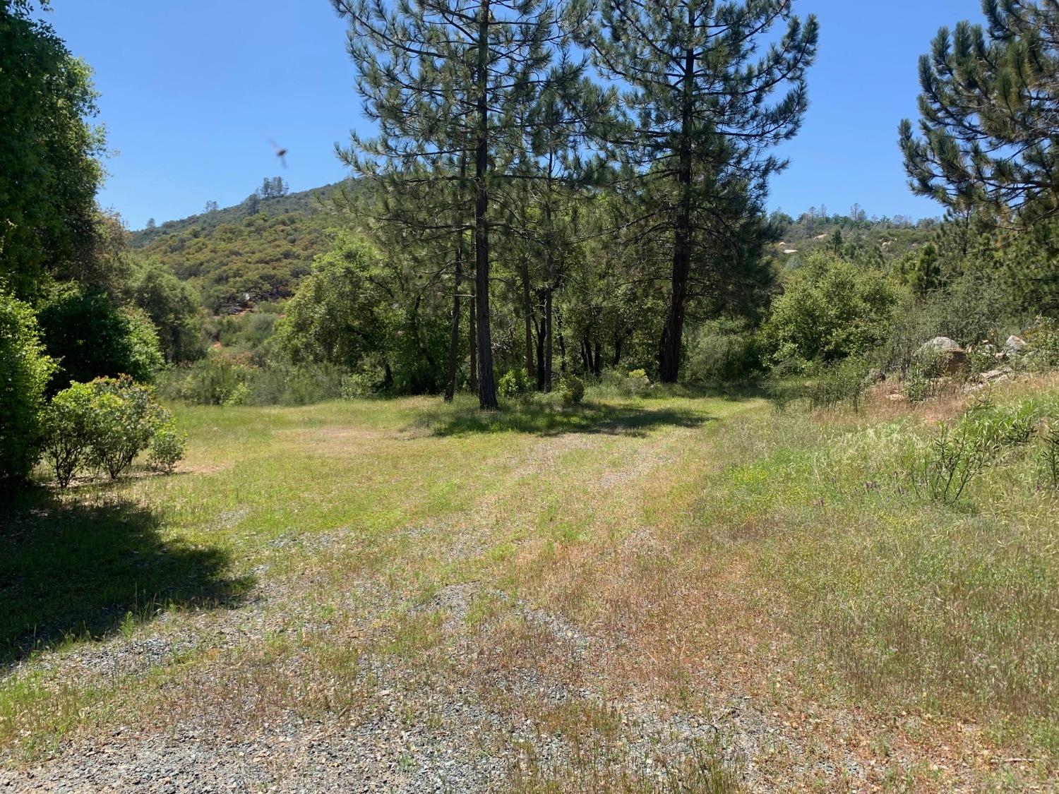 Lyons Bald Mountain Road, Sonora, California image 14