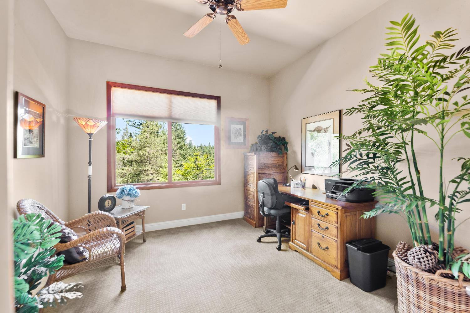 Bella Vista Circle, Foresthill, California image 16
