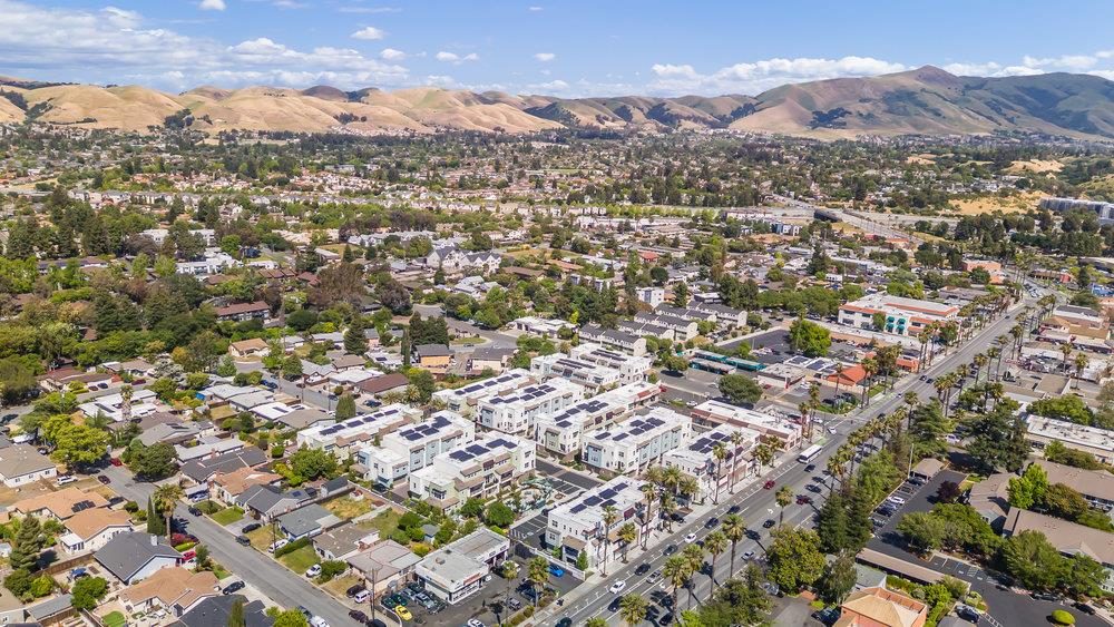Squill Common, Fremont, California image 33