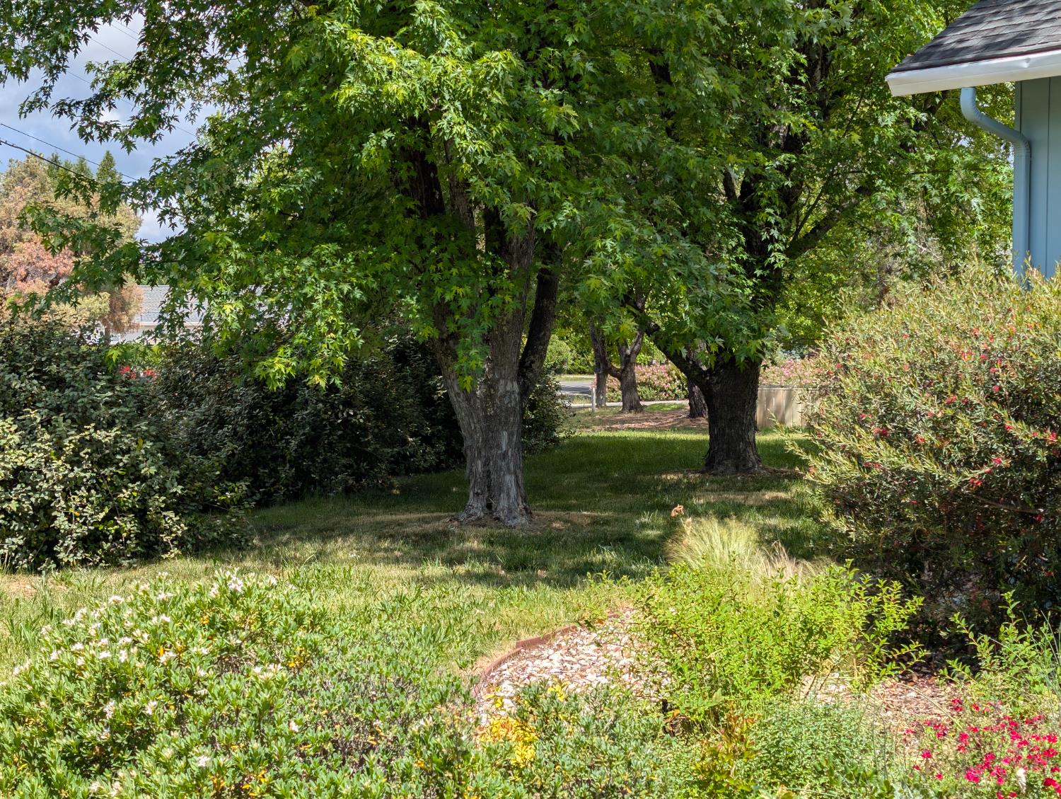 Detail Gallery Image 31 of 39 For 10991 Ringtail Rd, Penn Valley,  CA 95946 - 2 Beds | 2 Baths