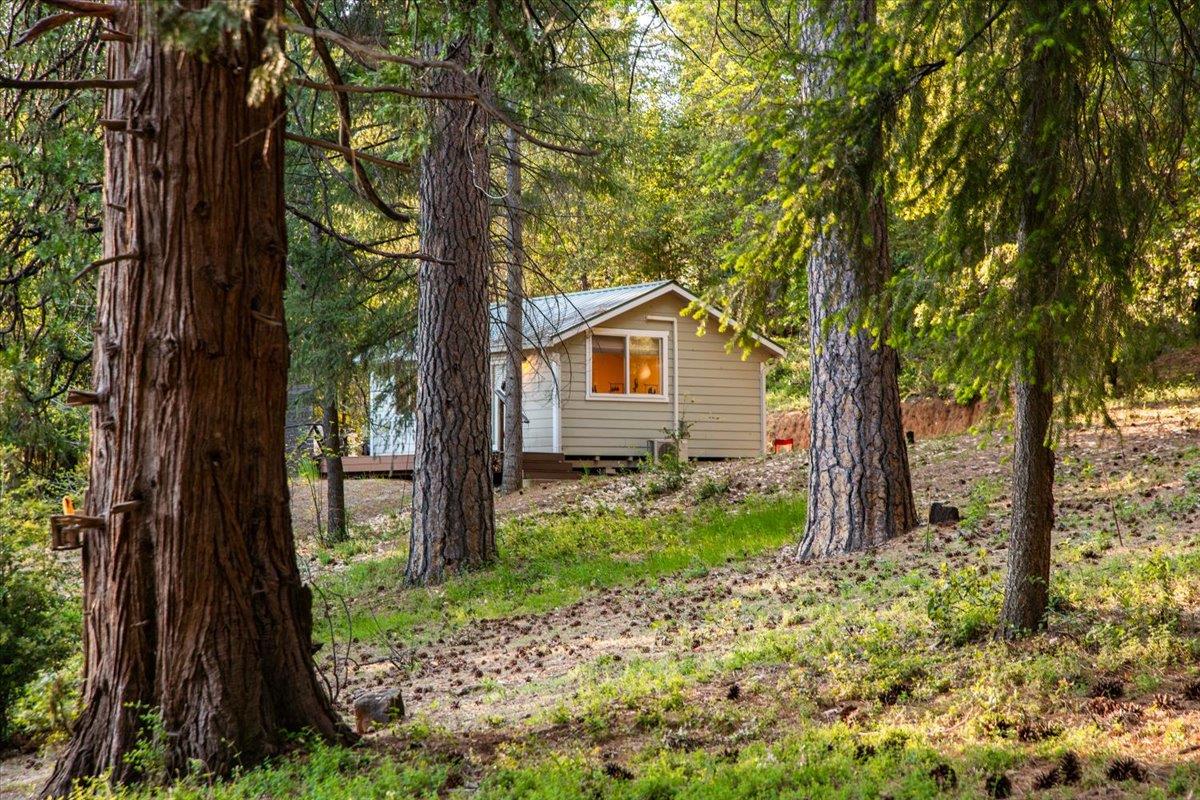 Willow Valley Road, Nevada City, California image 43