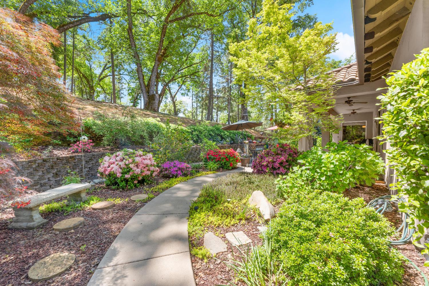 Bella Vista Circle, Foresthill, California image 44