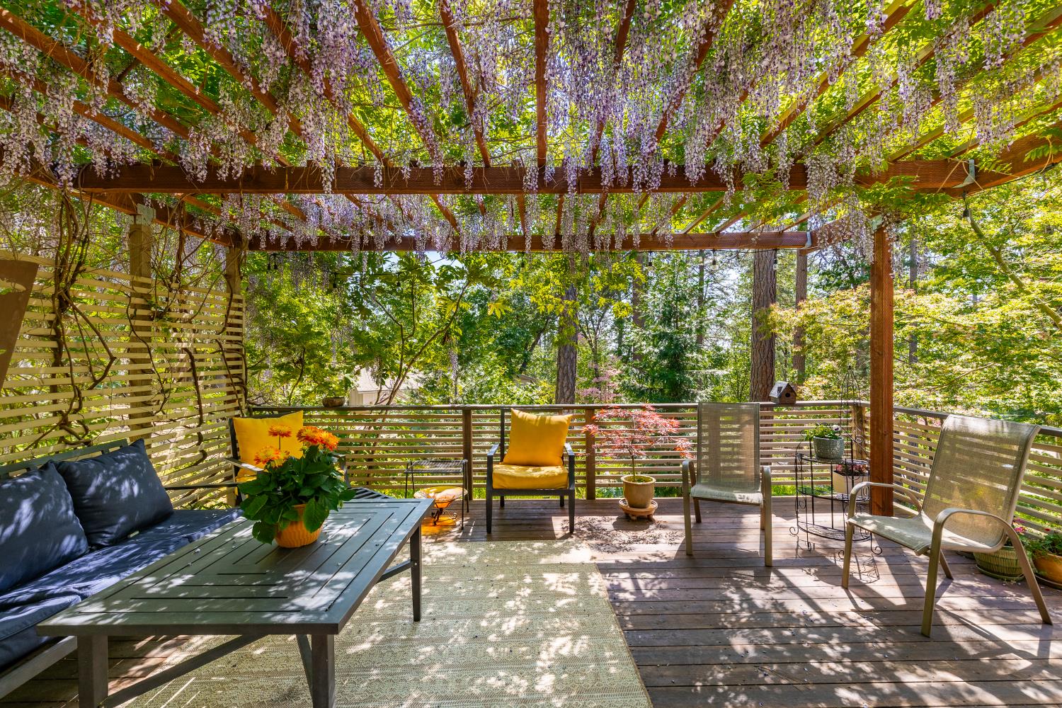 Nottingham Lane, Grass Valley, California image 5