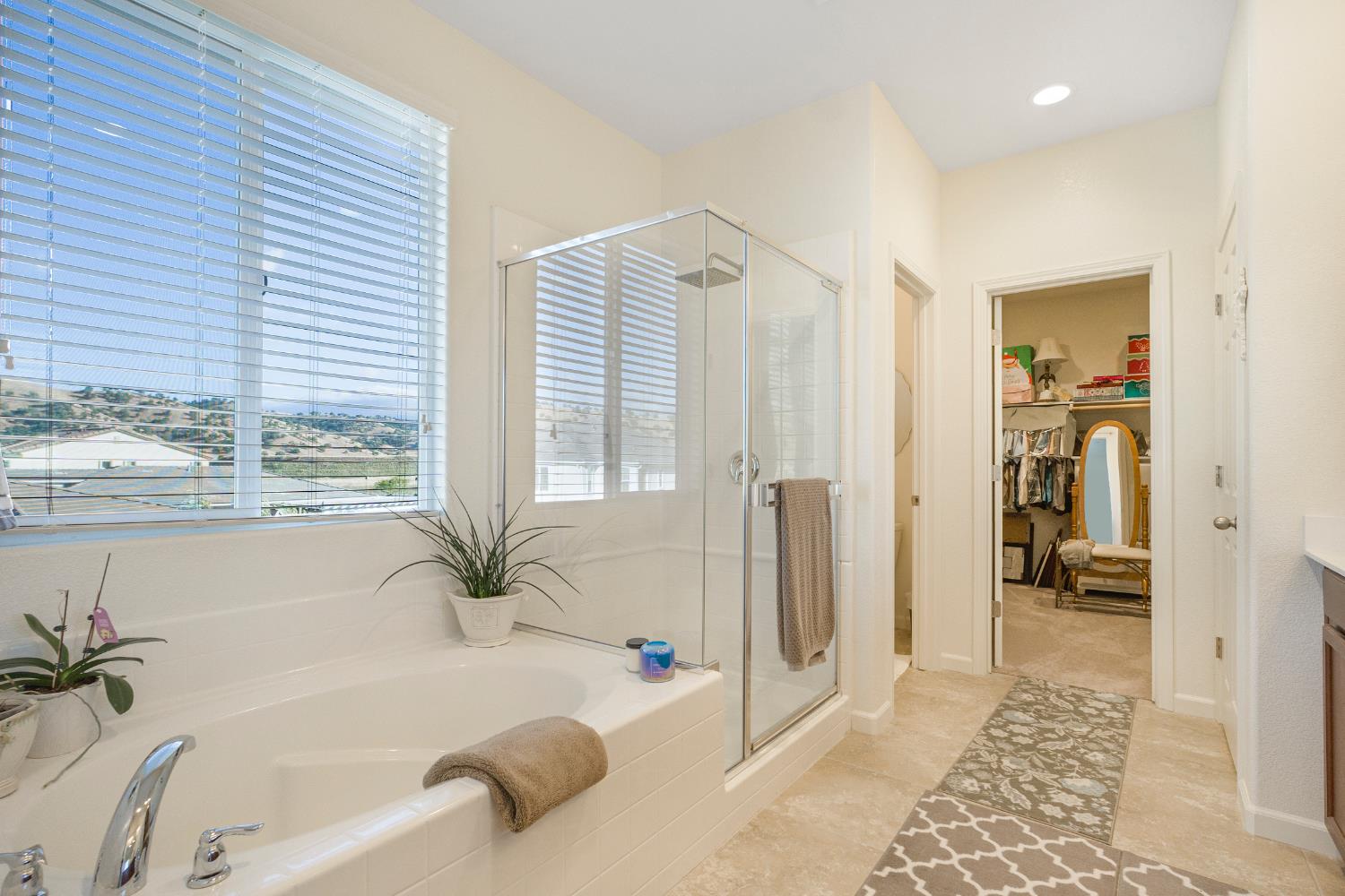 Detail Gallery Image 18 of 29 For 21244 Grapevine, Patterson,  CA 95363 - 4 Beds | 3 Baths