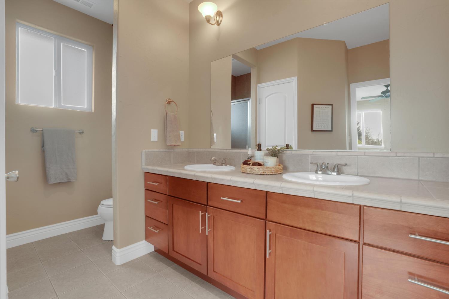 Dorchester Circle, Lodi, California image 19