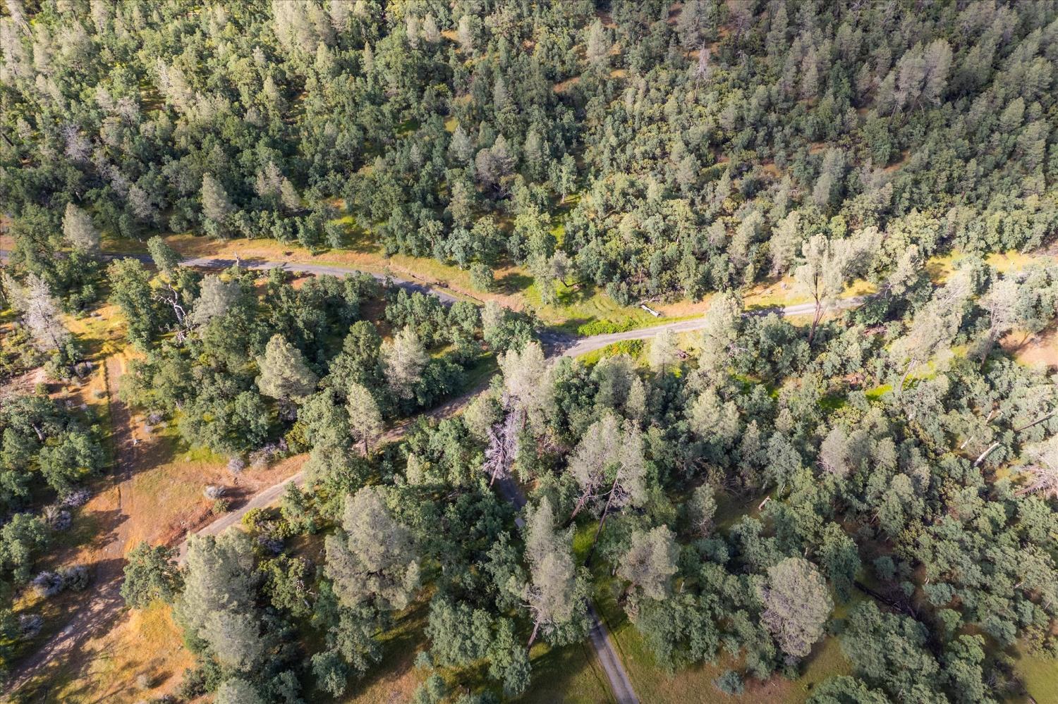Donkey Mine Rd, Oak Run, California image 10