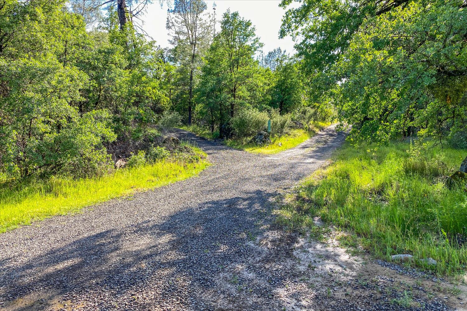 Donkey Mine Rd, Oak Run, California image 6