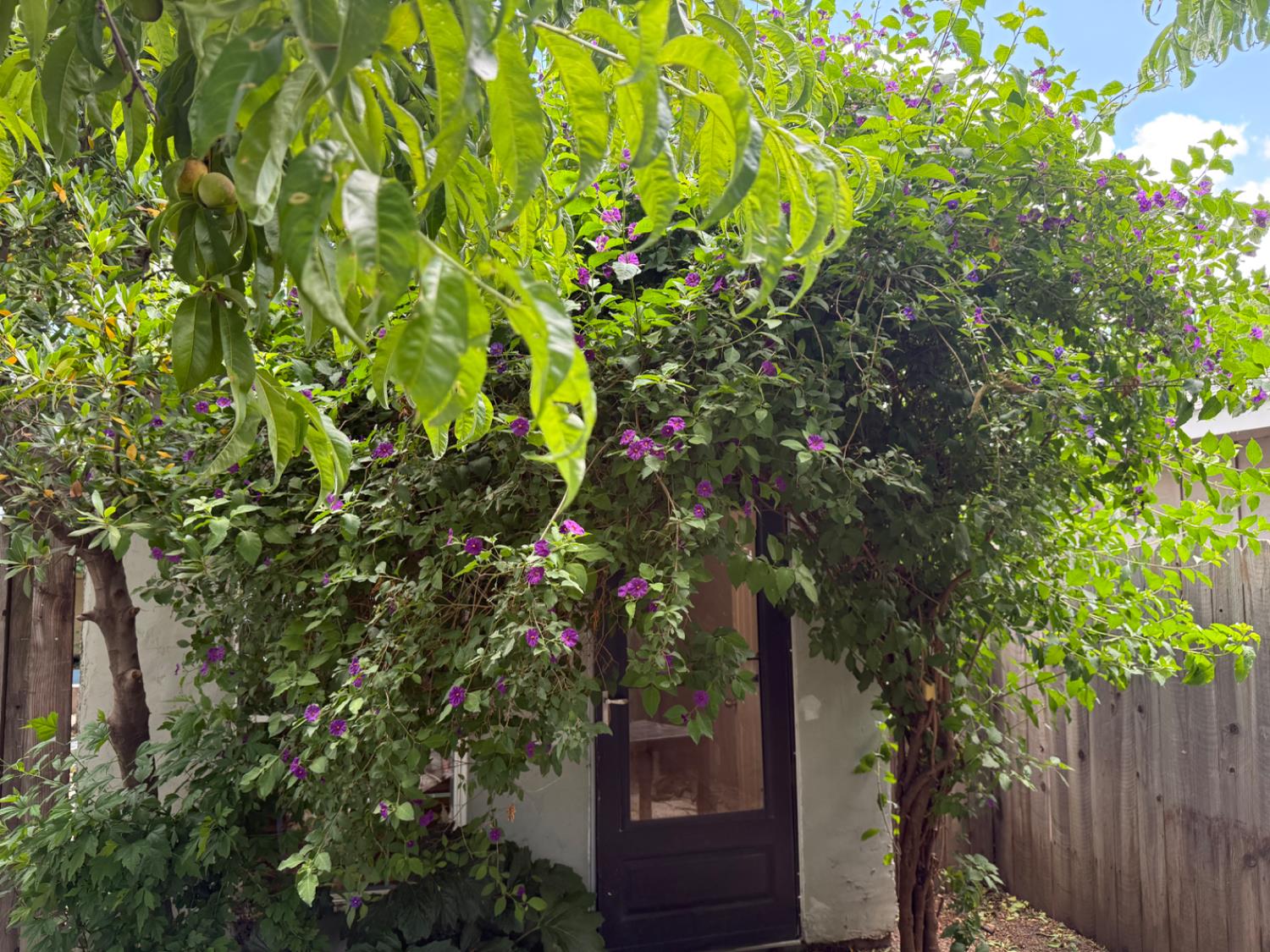 Detail Gallery Image 4 of 5 For 116 Frost Dr, Woodland,  CA 95695 - 2 Beds | 1 Baths