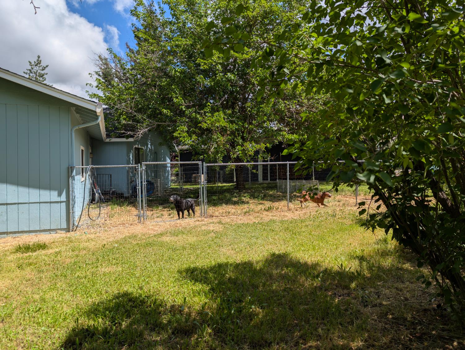 Detail Gallery Image 32 of 39 For 10991 Ringtail Rd, Penn Valley,  CA 95946 - 2 Beds | 2 Baths