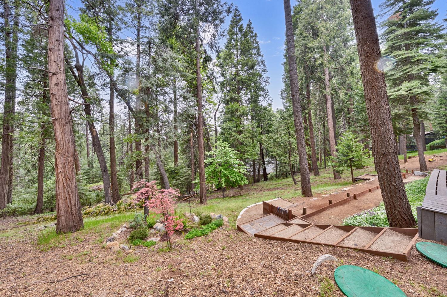 Detail Gallery Image 34 of 49 For 4038 Opal Trl, Pollock Pines,  CA 95726 - 3 Beds | 2 Baths