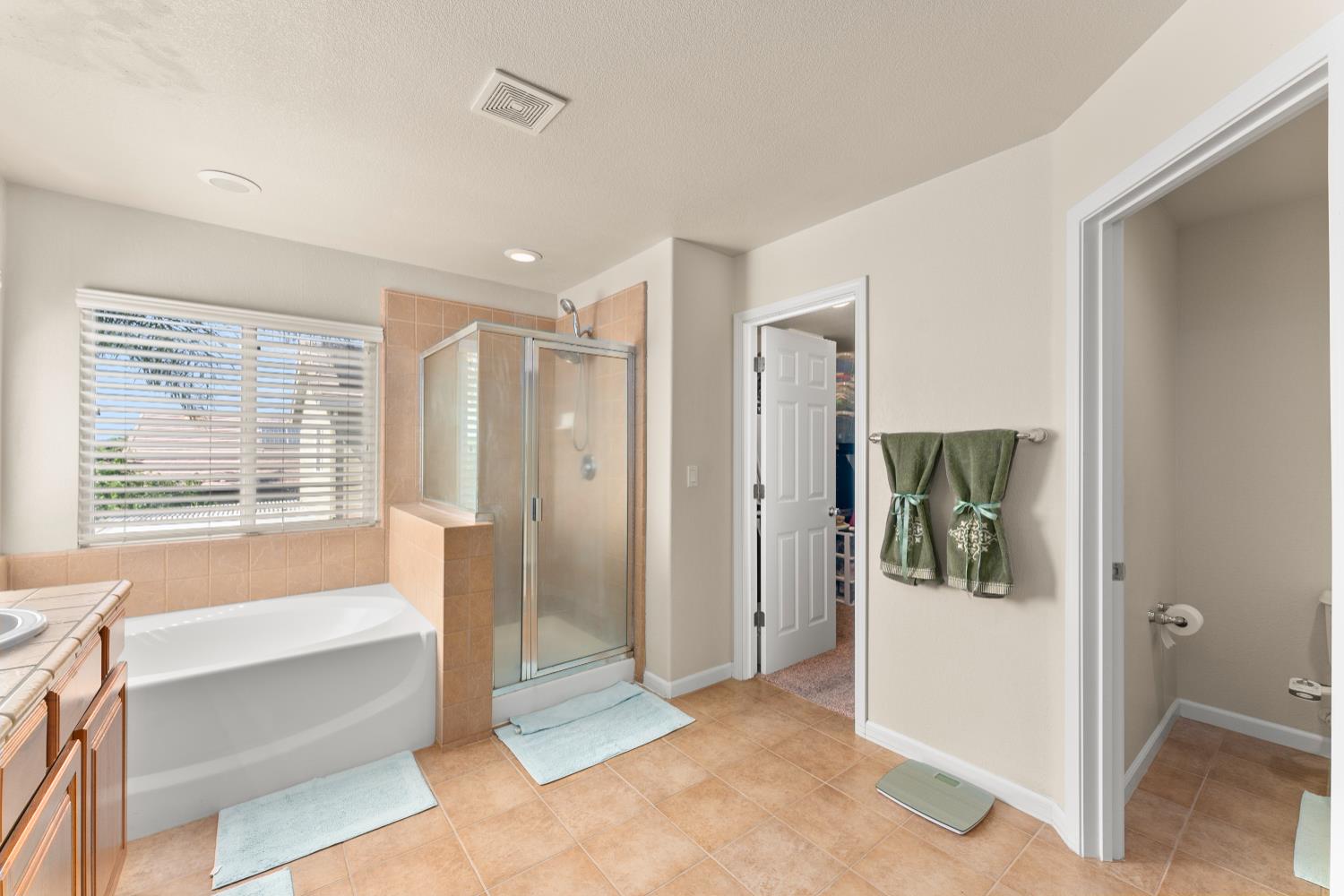 Brabant Court, Elk Grove, California image 37