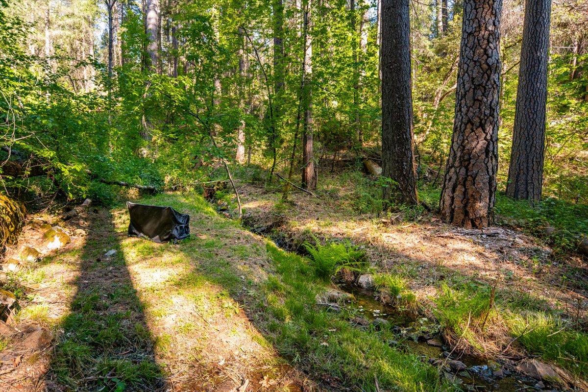 Detail Gallery Image 58 of 63 For 11992 Willow Valley Rd, Nevada City,  CA 95959 - 2 Beds | 2 Baths