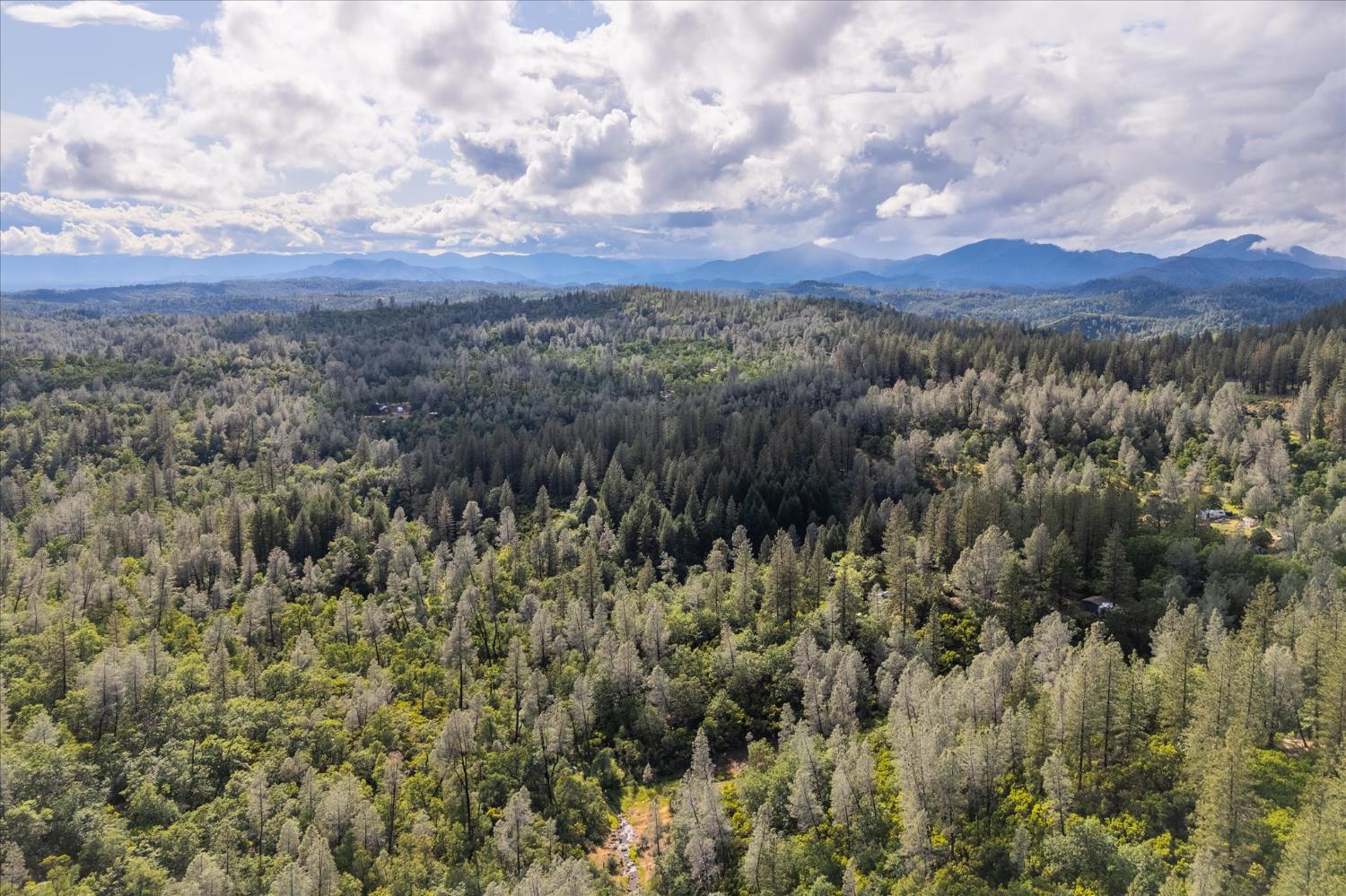 Donkey Mine Rd, Oak Run, California image 15