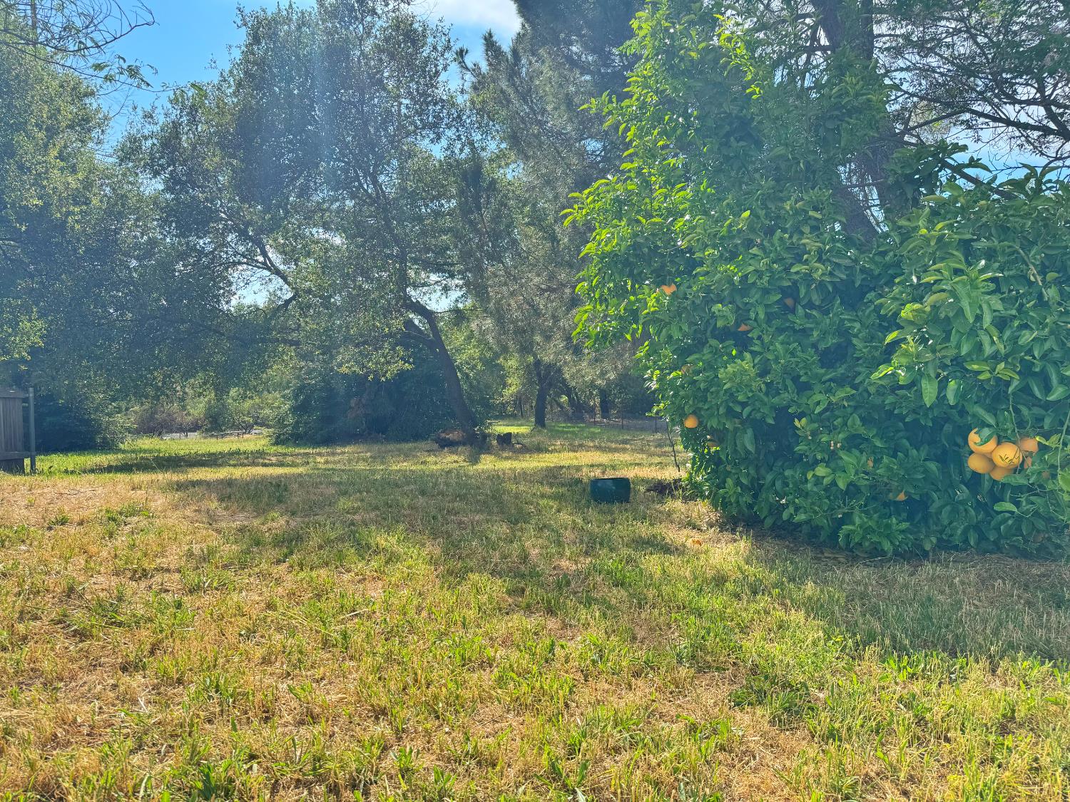 Detail Gallery Image 37 of 47 For 3781 Whispering Pines Ln, Shingle Springs,  CA 95682 - 3 Beds | 2 Baths