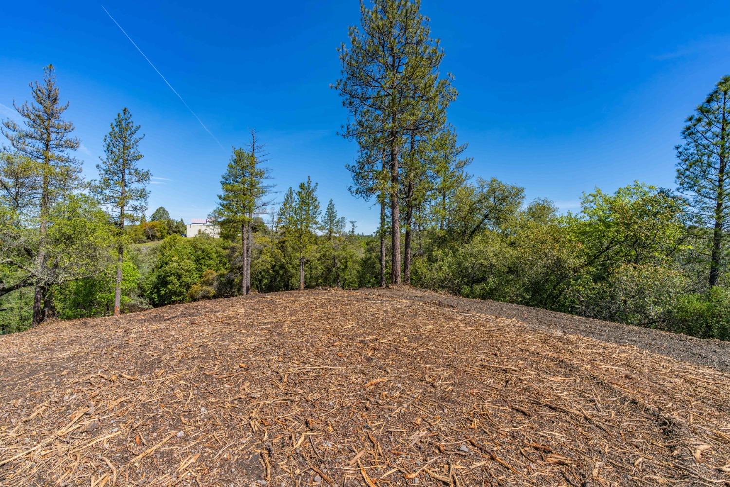 Detail Gallery Image 8 of 25 For 0 Oneto Rd, Sutter Creek,  CA 95685 - – Beds | – Baths