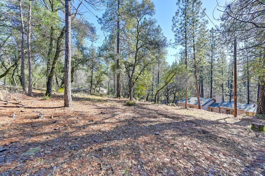 Mountain Lion Lane, Grass Valley, California image 30