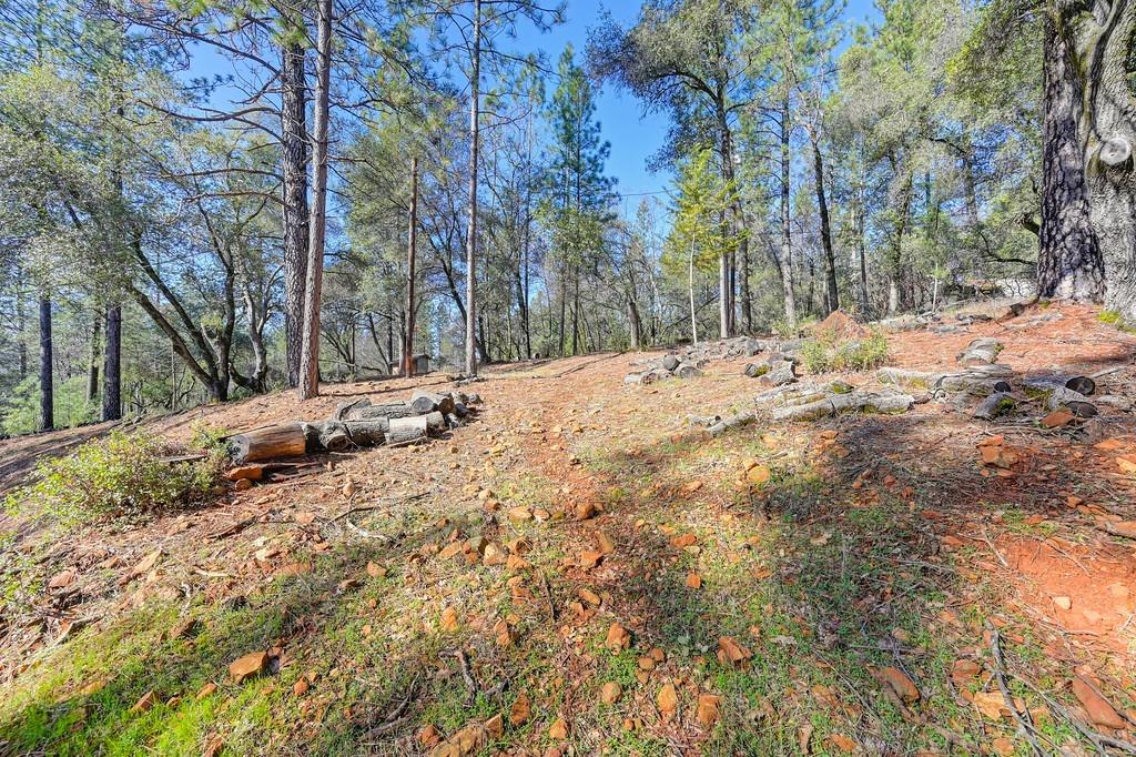 Mountain Lion Lane, Grass Valley, California image 28