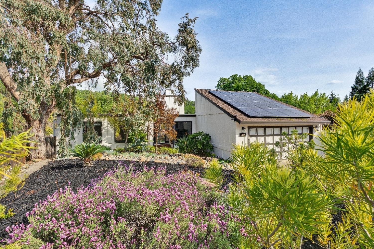 Stanford Lane, El Dorado Hills, California image 1